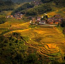 馬洋村[福安曉陽鎮馬洋村]