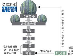 （圖）億霖木業