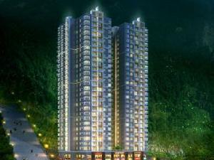 康力首座 康力首座