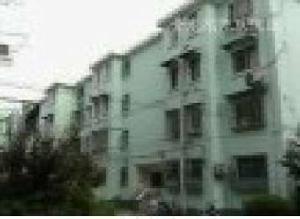 金龍花苑牡丹園 金龍花苑牡丹園