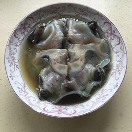 家常燉甲魚 家常燉甲魚