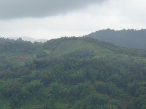 新家自然村 新家自然村