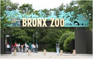 紐約布朗克斯動物園