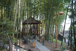 安徽橫山國家森林公園