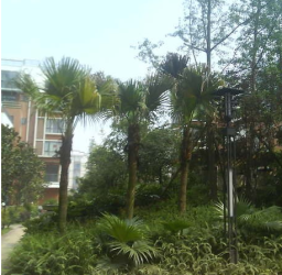 利偵境界 利偵境界