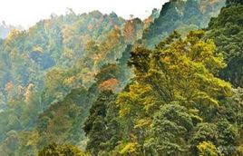 三江生態風景區 三江生態風景區