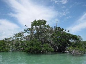 Tequila[墨西哥地名]