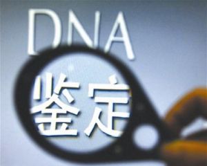 DNA鑑定