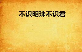 不識明珠不識君 不識明珠不識君