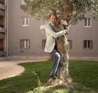 《歡迎來北方》