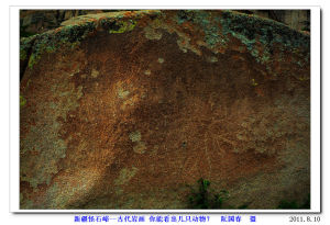 怪石峪古岩畫--馬、牛、羊等