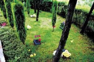 環保葬禮 環保葬禮