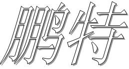 深圳市鵬特建築工程有限公司 深圳市鵬特建築工程有限公司