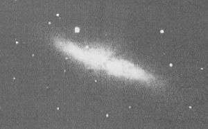梅西葉M82