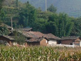 馬桑節村 馬桑節村