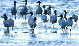 大山包鄉 大山包鄉