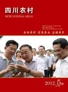 四川農村 四川農村