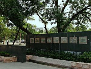 青島市第三公園 青島市第三公園