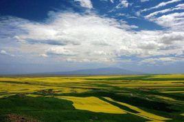 平川鎮[甘肅省張掖市臨澤縣平川鎮]