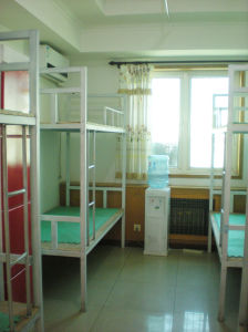 狗博士寵物美容 學校宿舍