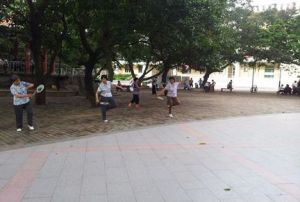 藤山社區 藤山社區