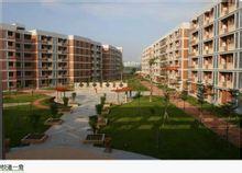 松山湖中學 松山湖中學