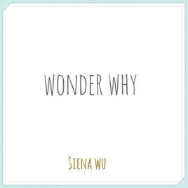 Wonder Why Wonder Why