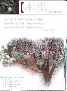 《木瓜》
