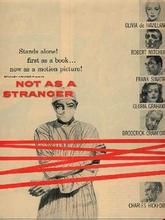 明月冰心一照杏林 明月冰心一照杏林