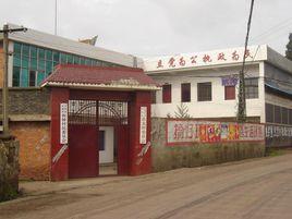 板橋村委會 板橋村委會