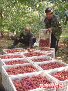 原馬蓬村 原馬蓬村