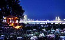 白河遊覽區光武大橋夜景