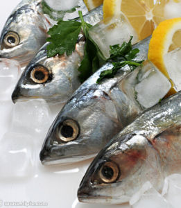 冰魚[冰魚：一些不同種類的魚類之俗稱]