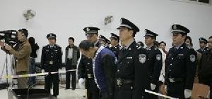 華南虎照片事件