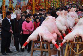 擺豬羊習俗 擺豬羊習俗