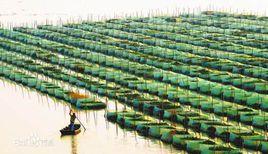 黎川縣聚龍灣現代漁業養殖基地 黎川縣聚龍灣現代漁業養殖基地
