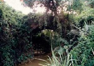 響水橋[江門響水橋]