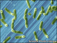 抗菌不鏽鋼 抗菌不鏽鋼