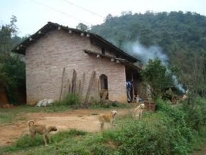 紅魚上村 紅魚上村