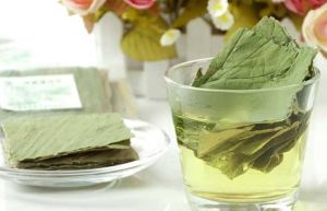 茵陳荷葉飲 茵陳荷葉飲