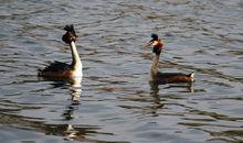 lxdstudio攝於內蒙古鄂爾多斯境內