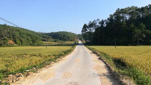 美沙村&middot;Y036鄉道