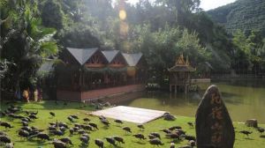 西雙版納國家森林公園 西雙版納國家森林公園