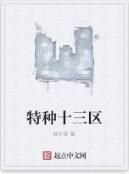 特種十三區 特種十三區