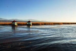 托素湖和克魯克湖濕地1