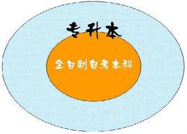 成人教育專升本 成人教育專升本