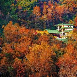 圭峰山風景名勝區[廣東省新會市會城鎮]