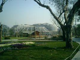 南顧莊村 南顧莊村