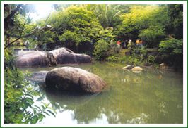 萬寧興隆熱帶花園