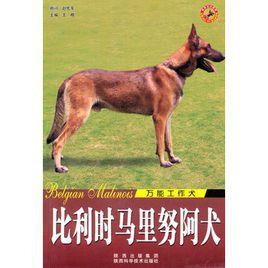 世界名犬-比利時馬里努阿犬 世界名犬-比利時馬里努阿犬